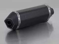 REMUS SPORTEXHAUST Silenziatore acciaio inox nero GTS 125-250-300 ie Super da 05, CEE