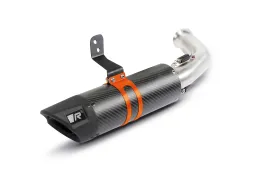 Slip-On REMUS Sport Flow (sport silencer), Carbon